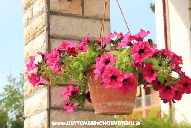 Apartman Marija - Kožino – fotó 10