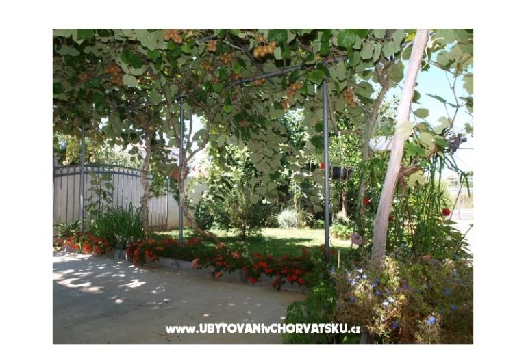 Apartmanok Andredor – fotó 17
