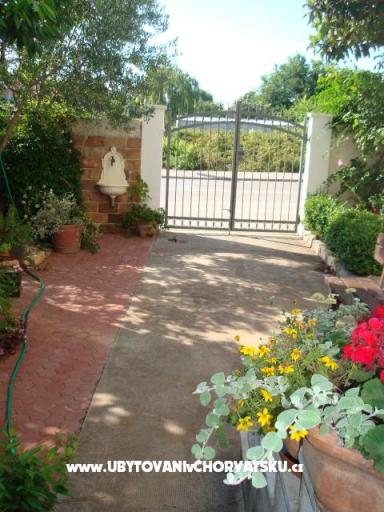 Apartmanok Andredor – fotó 2