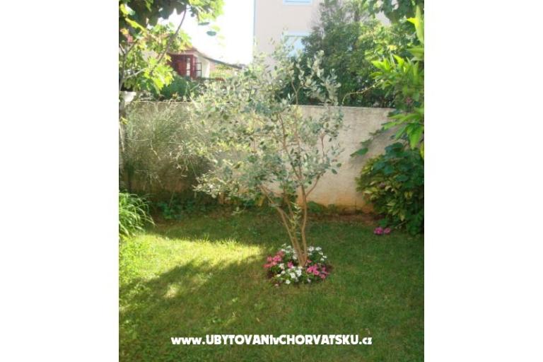 Apartmanok Andredor – fotó 8