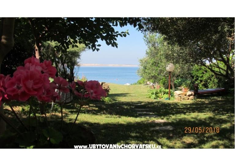 Apartmanok Devcic DZ – fotó 7