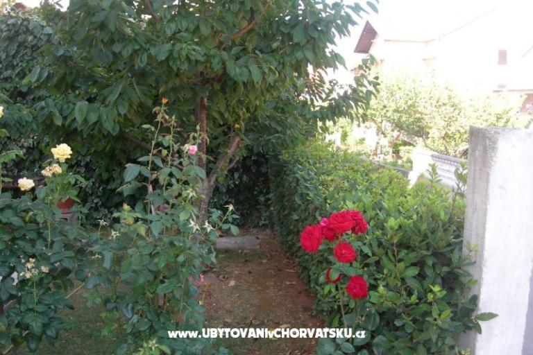 Apartmanok Ravkin – fotó 9