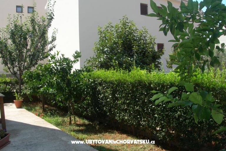 Apartmanok Ravkin – fotó 7
