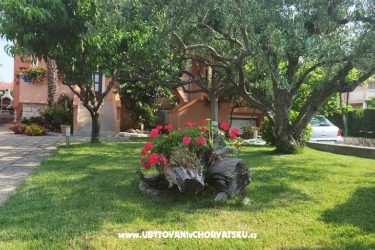 Apartmanok Riva – fotó 3