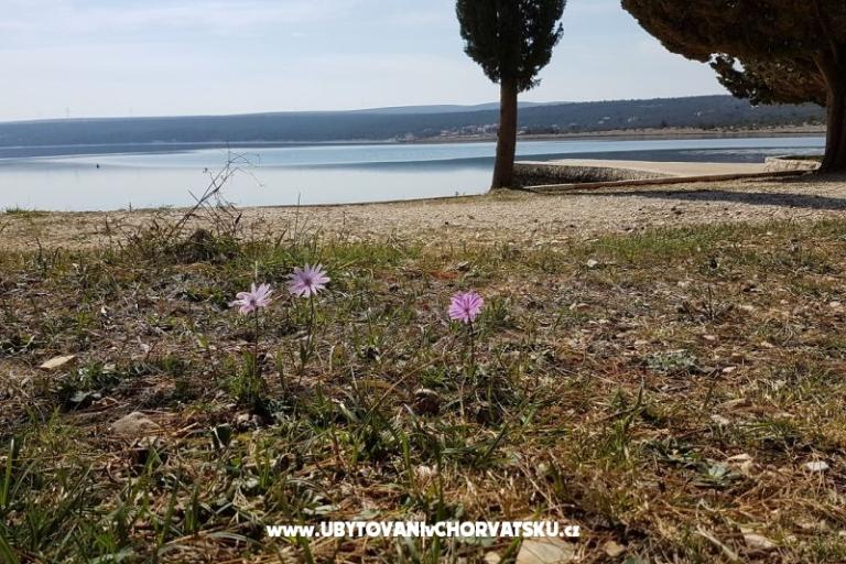 Apartmanok Tena,  prvi red do mora – fotó 45