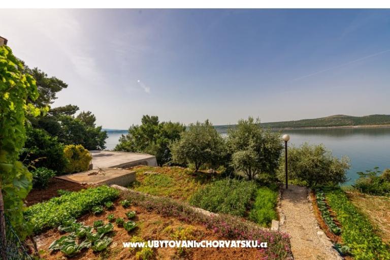 Apartmanok Tunjarica – fotó 16
