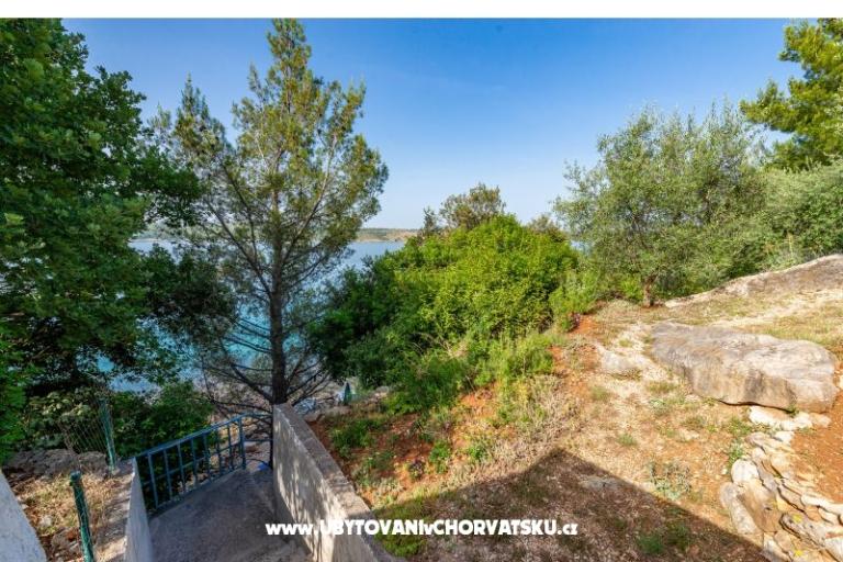 Apartmanok Tunjarica – fotó 6