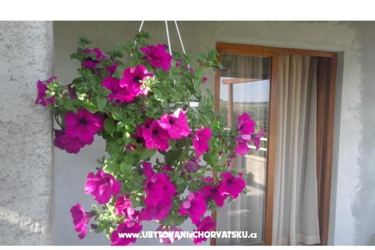 Apartmans  Nina  – fotó 8
