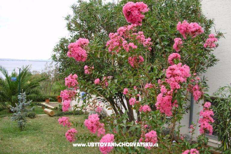 Apartmanok Marija – fotó 7