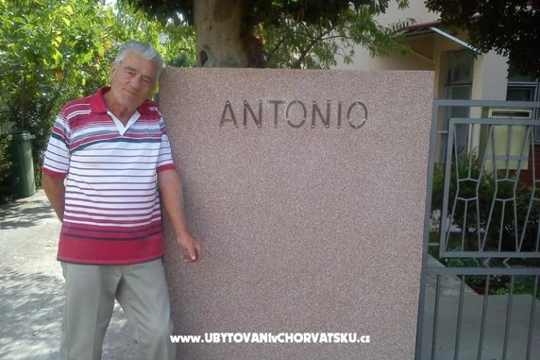 Apartmanok and rooms Antonio – fotó 3