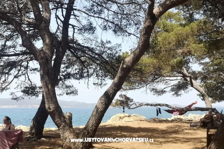 Apartmanok Asea Zadar – fotó 6