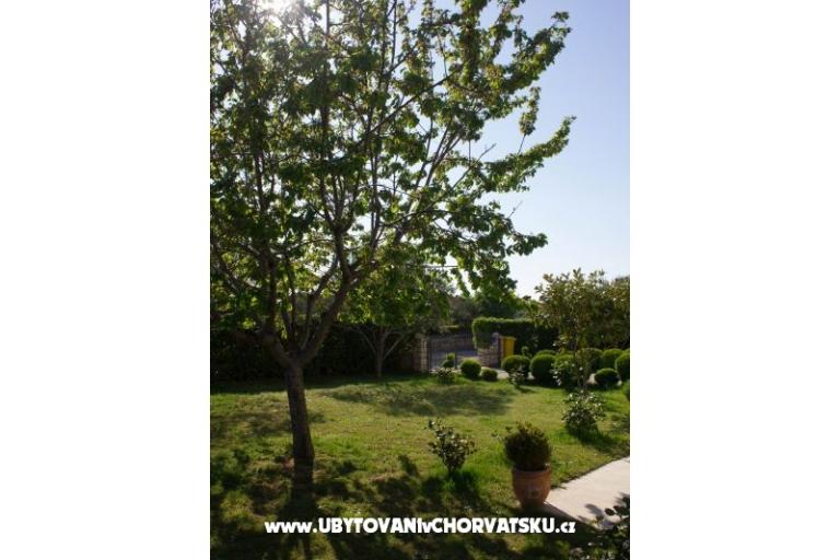 Apartmanok Duke – fotó 3