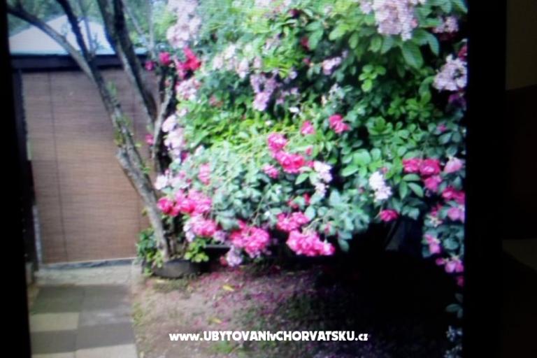 Apartmanok Floresita – fotó 16