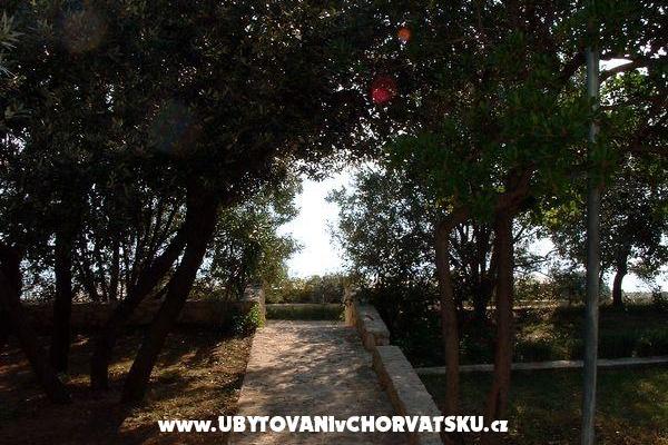 Apartmanok ISA – fotó 6
