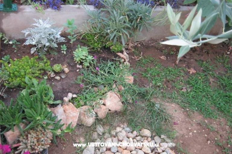 Apartmanok Maja – fotó 10