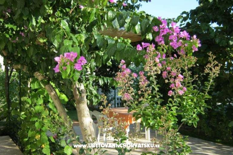 Apartmanok Maja – fotó 14