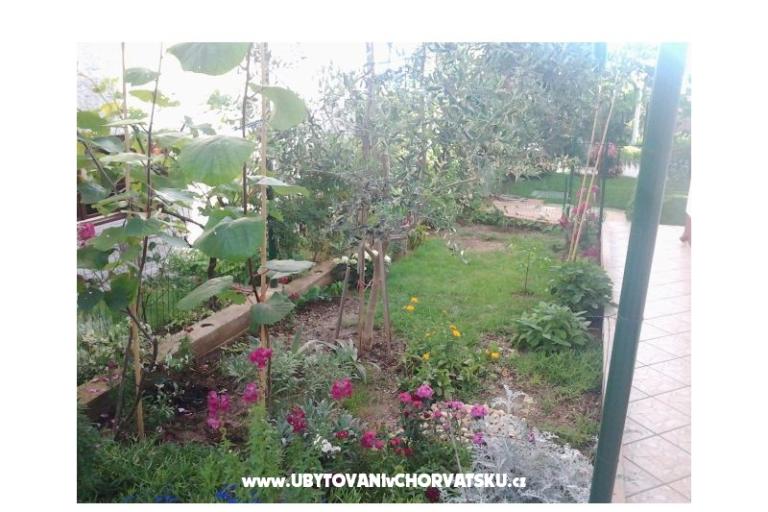Apartmanok Maja – fotó 15