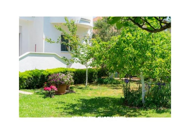 Apartmanok Manda – fotó 11
