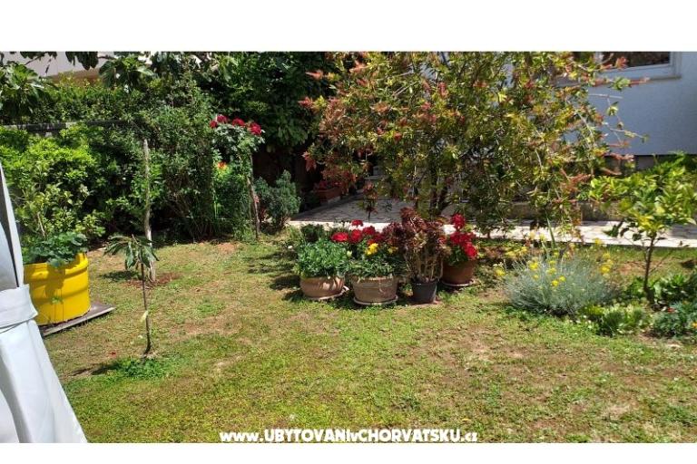 Apartmanok Manda – fotó 17