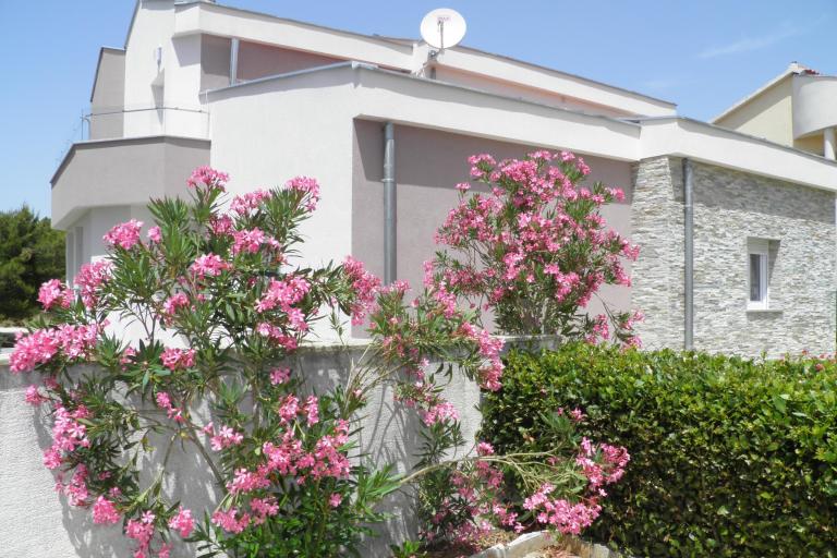 Apartmanok Mirakul – fotó 8