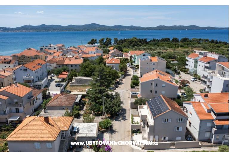 Furia Puntamika – fotó 5