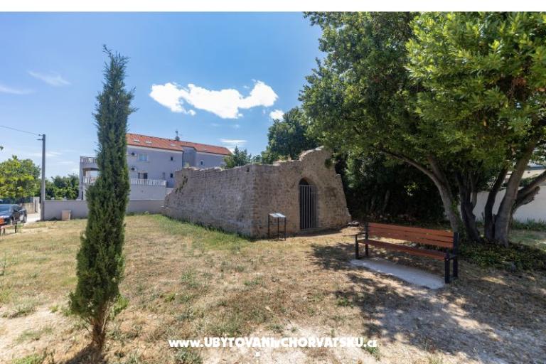 Furia Puntamika – fotó 8