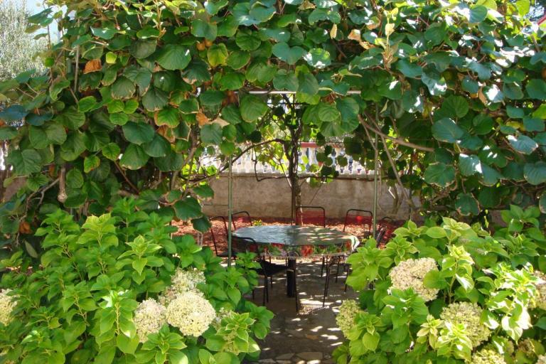 Ház Jasna Apartman – fotó 8