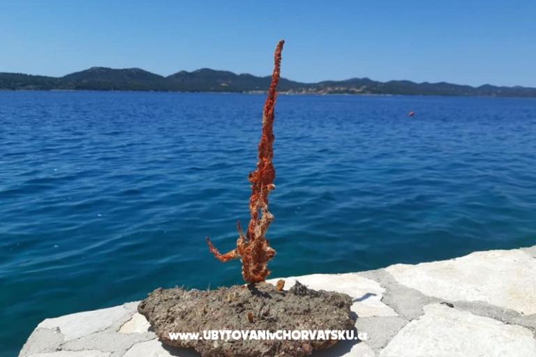 Robinzonski turizam Lavdara Dominis – fotó 32