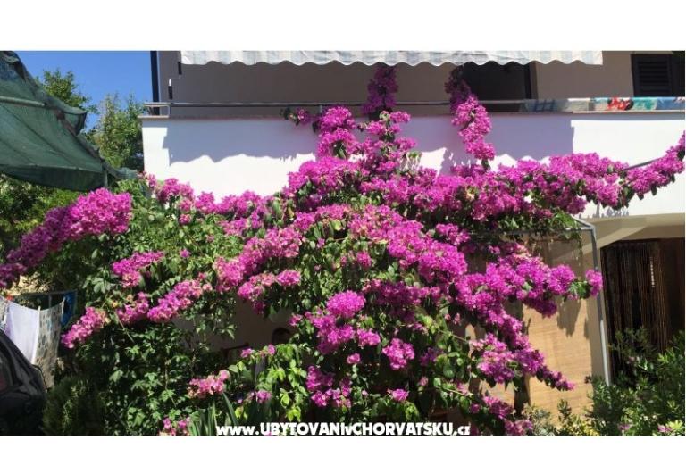 Lucija apartmanok – fotó 2