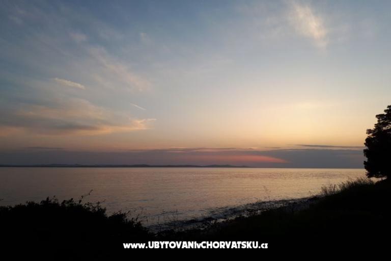 Veronika – fotó 7