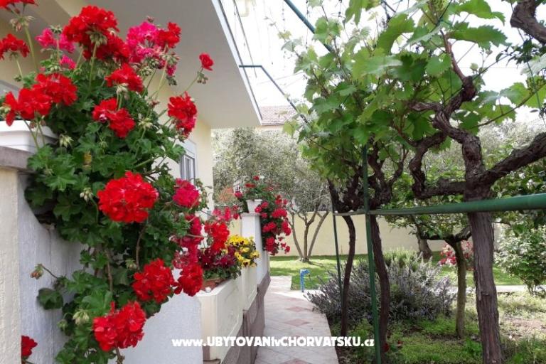 Villa Rosemarino – fotó 4