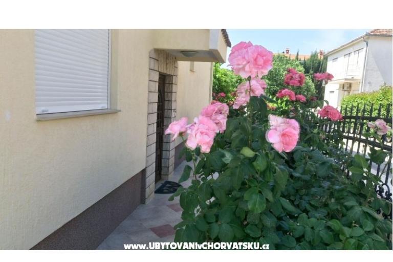 Villa Rosemarino – fotó 5