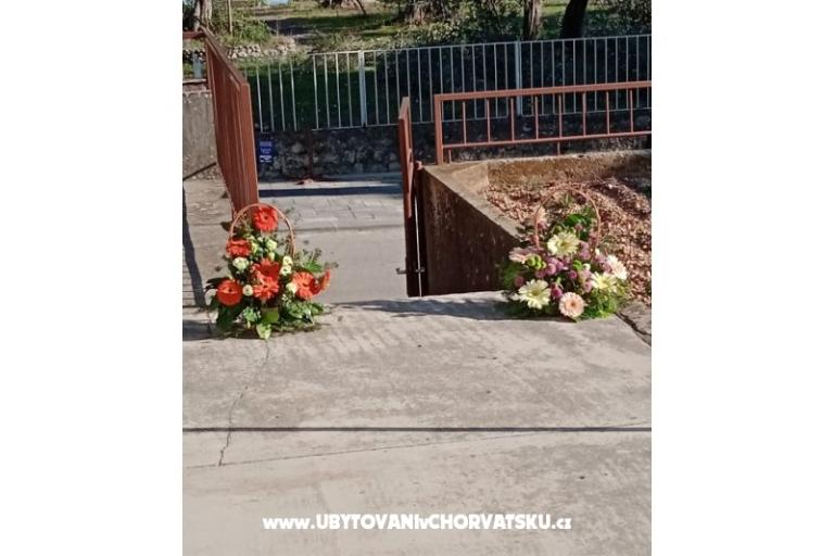 Apartman Viter – fotó 2