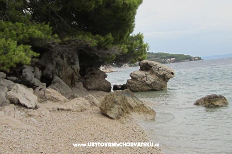 Apartmanok Jagoda – fotó 16