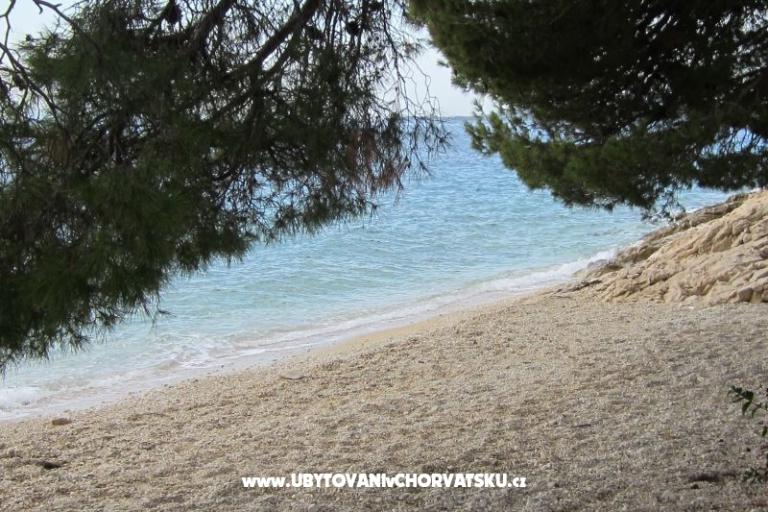 Apartmanok Jagoda – fotó 18