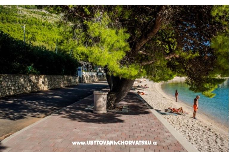 Apartmanok Martinović – fotó 13