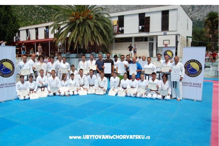 Bossina Zaostrog – fotó 13