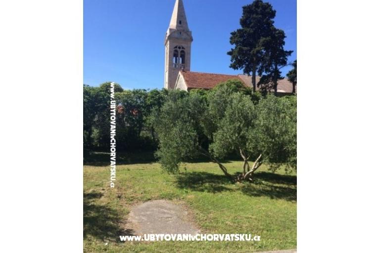 Bossina Zaostrog – fotó 14