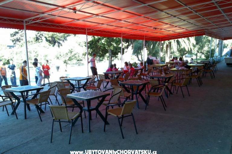 Bossina Zaostrog – fotó 6