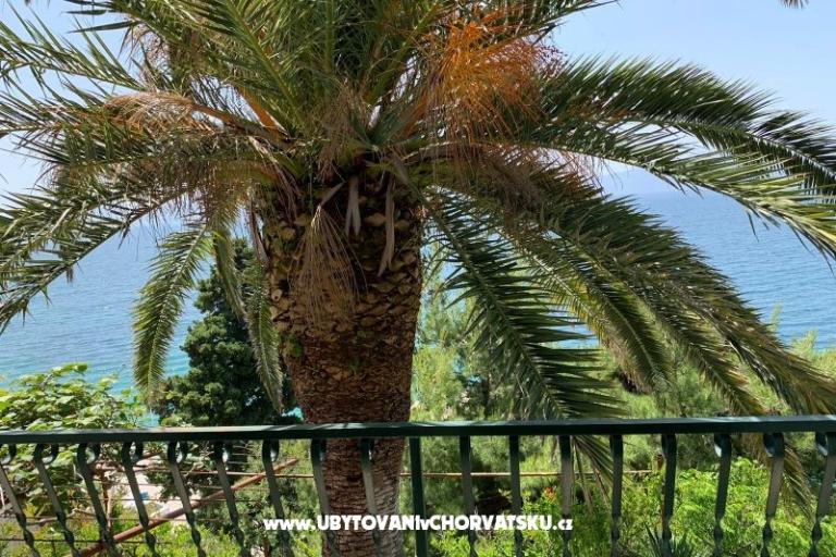 Apartmanok Palma – fotó 7
