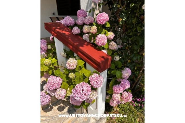 Apartmanok Ana Ercegović  – fotó 10