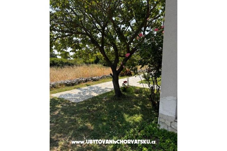 Apartmanok Ana Ercegović  – fotó 8