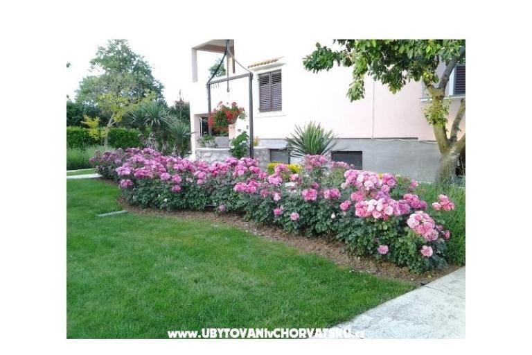 Apartmanok Martina – fotó 16