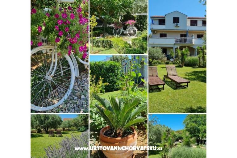 Apartmanok Peroš – fotó 8