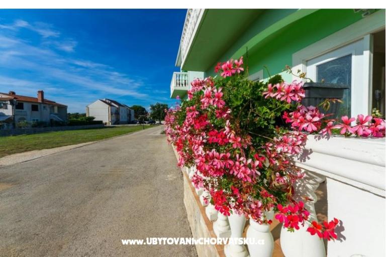 Apartmanok Vesna – fotó 17