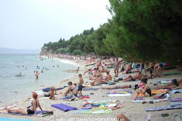 Apartmanok Gojko Ajduk – fotó 3
