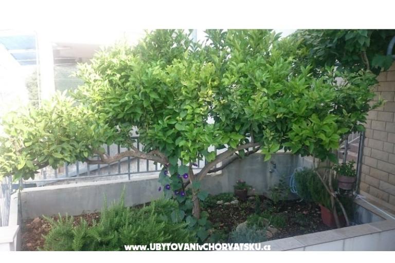Apartmanok Jovanović – fotó 12