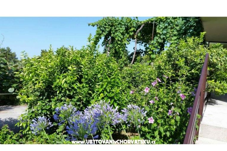 Apartmanok Lily – fotó 5