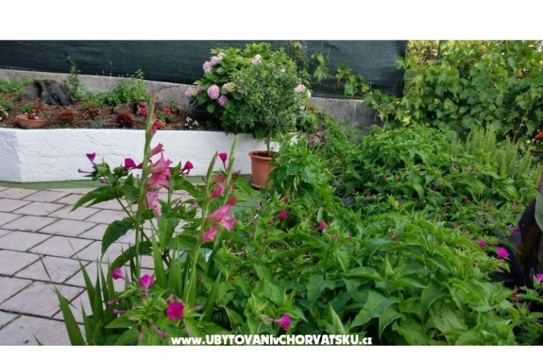 Apartmanok Lily – fotó 8