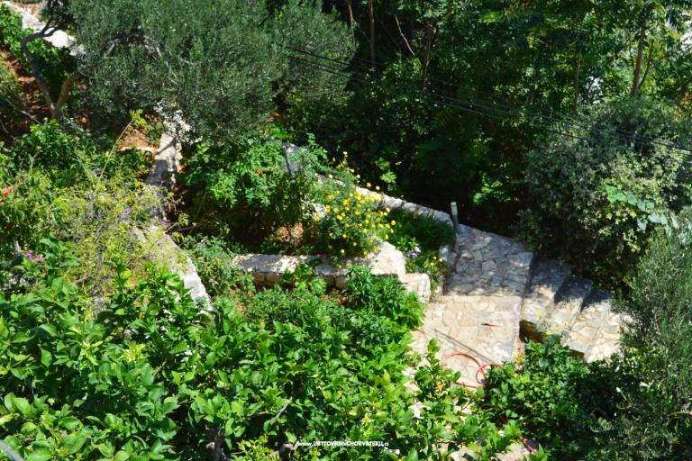 Apartmanok Majstrović Živogošće – fotó 6